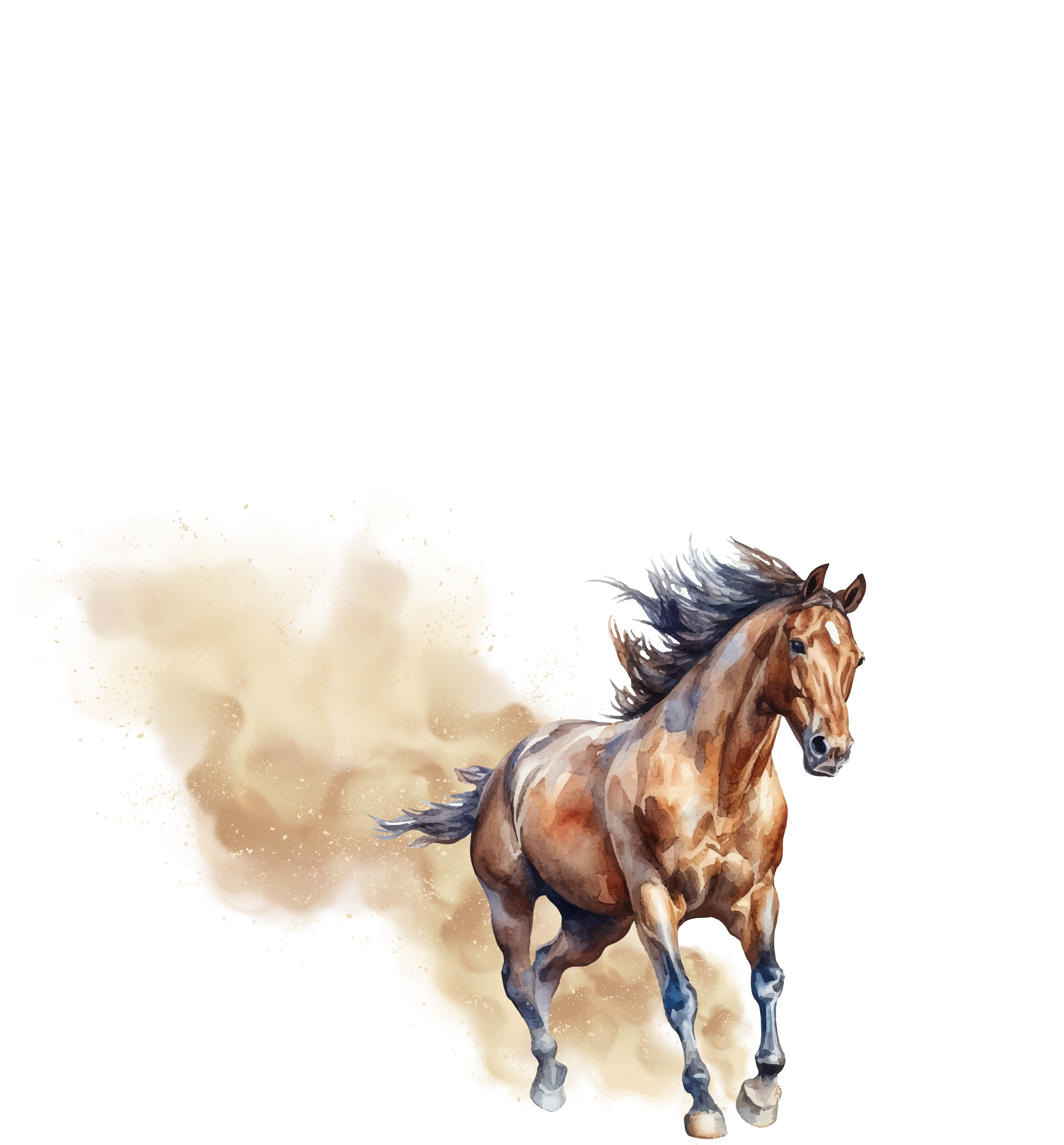 DTF Country - Style Western et Motifs Équestres