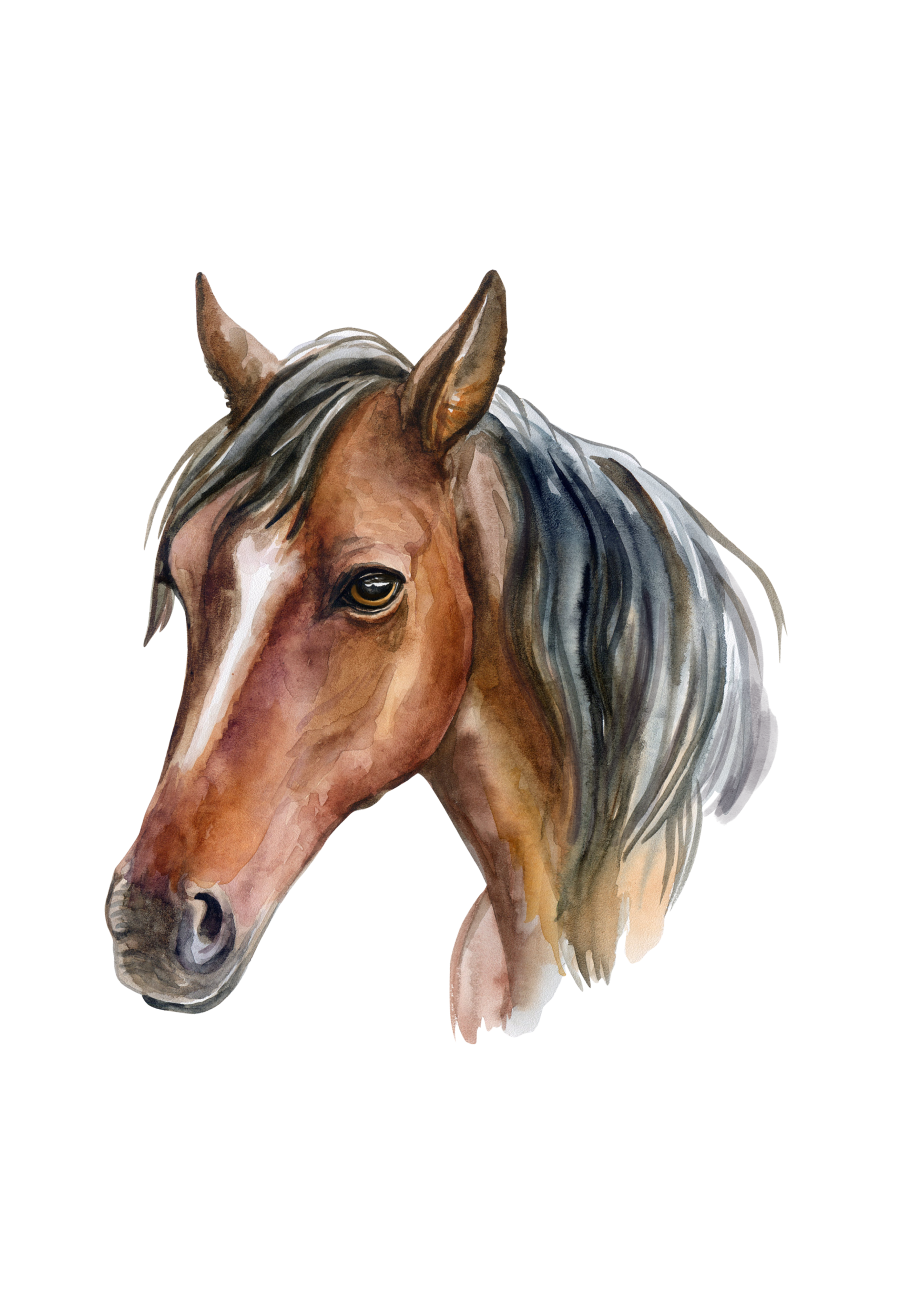 DTF Country - Style Western et Motifs Équestres