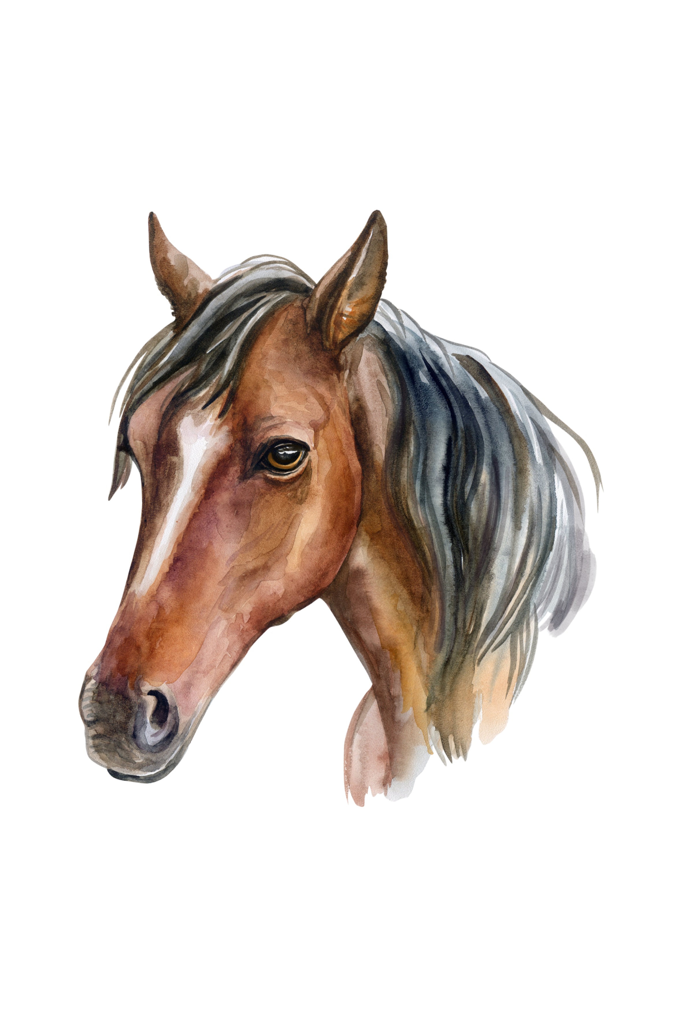 DTF Country - Style Western et Motifs Équestres