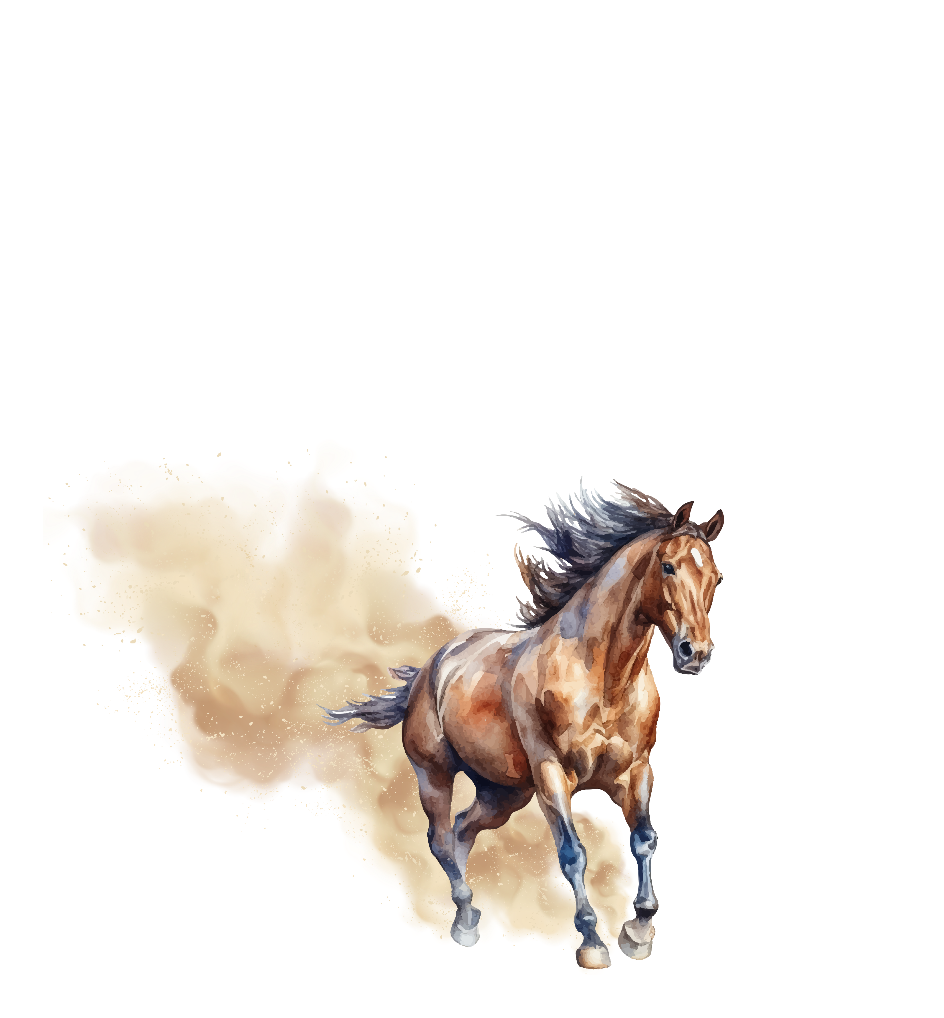 DTF Country - Style Western et Motifs Équestres