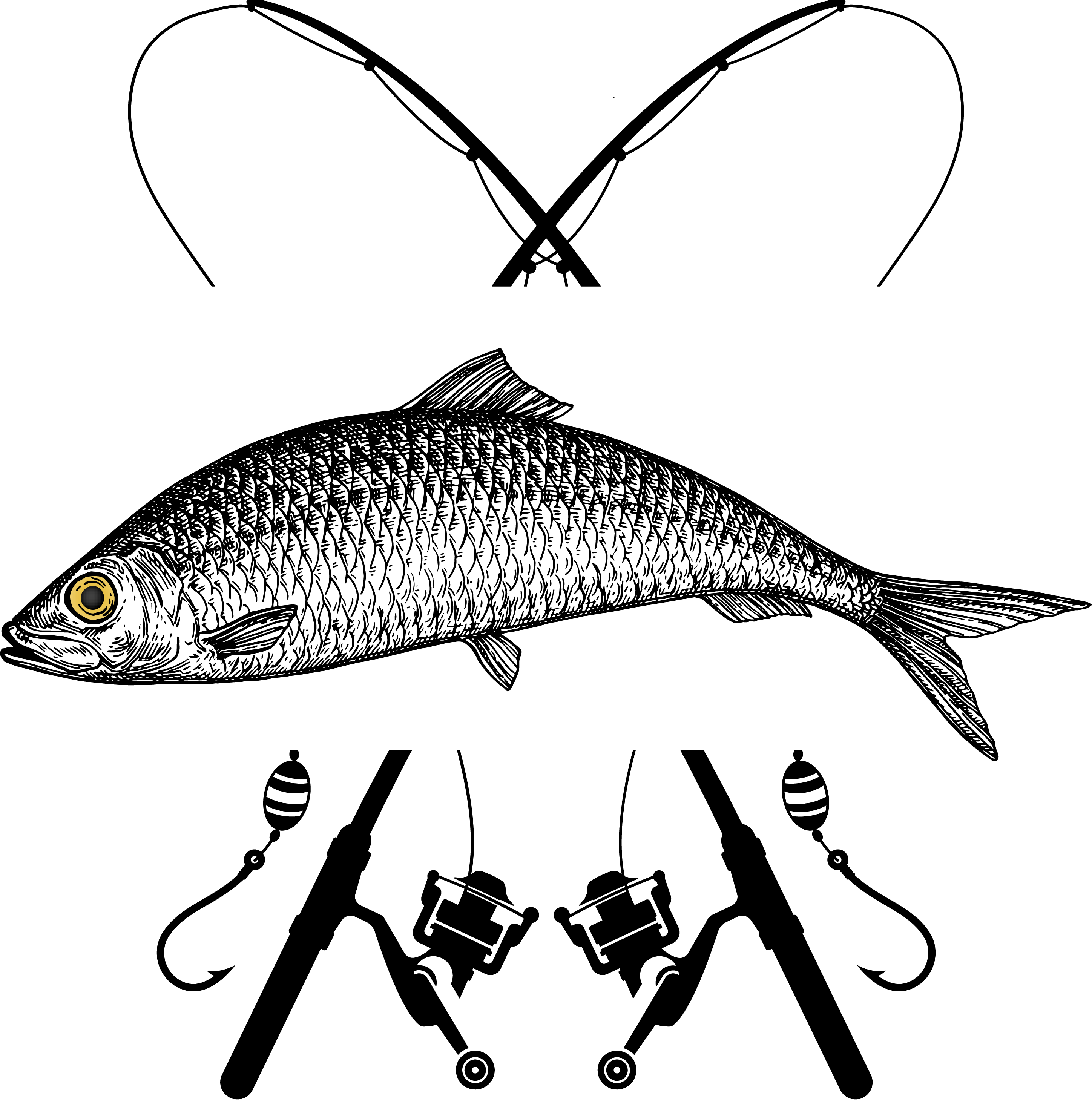 DTF Pêche - Transferts Thermocollants | 3 Designs